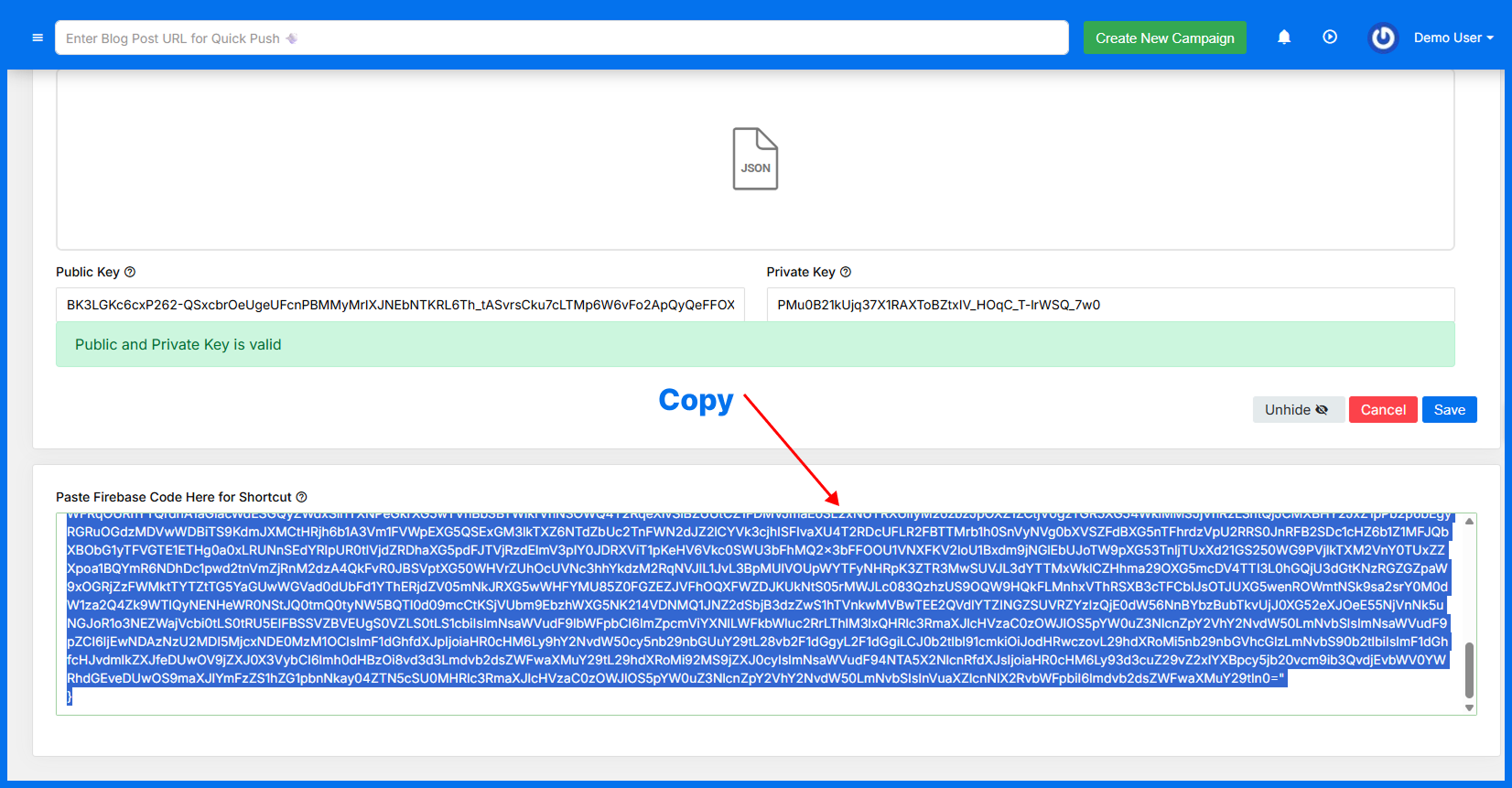 Source Domain